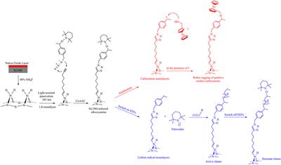 Functionalized Silicon Electrodes Toward Electrostatic Catalysis